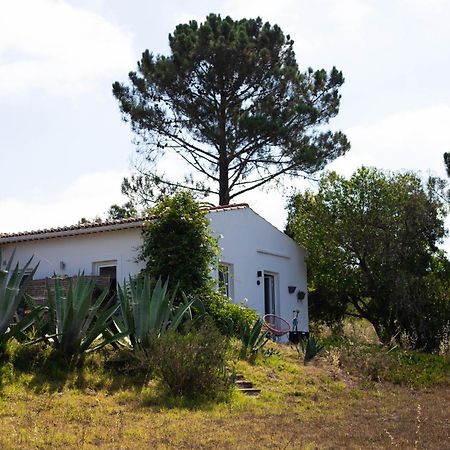 Monte Da Urze Aljezur - Agroturismo Exterior photo